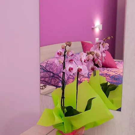 Rainbow Bed & Breakfast 4*