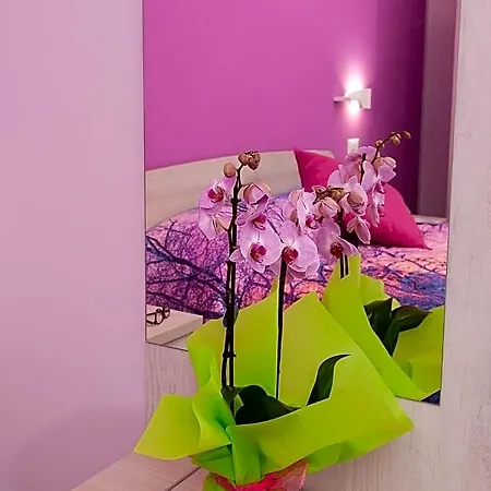 Bed & Breakfast Rainbow 4*